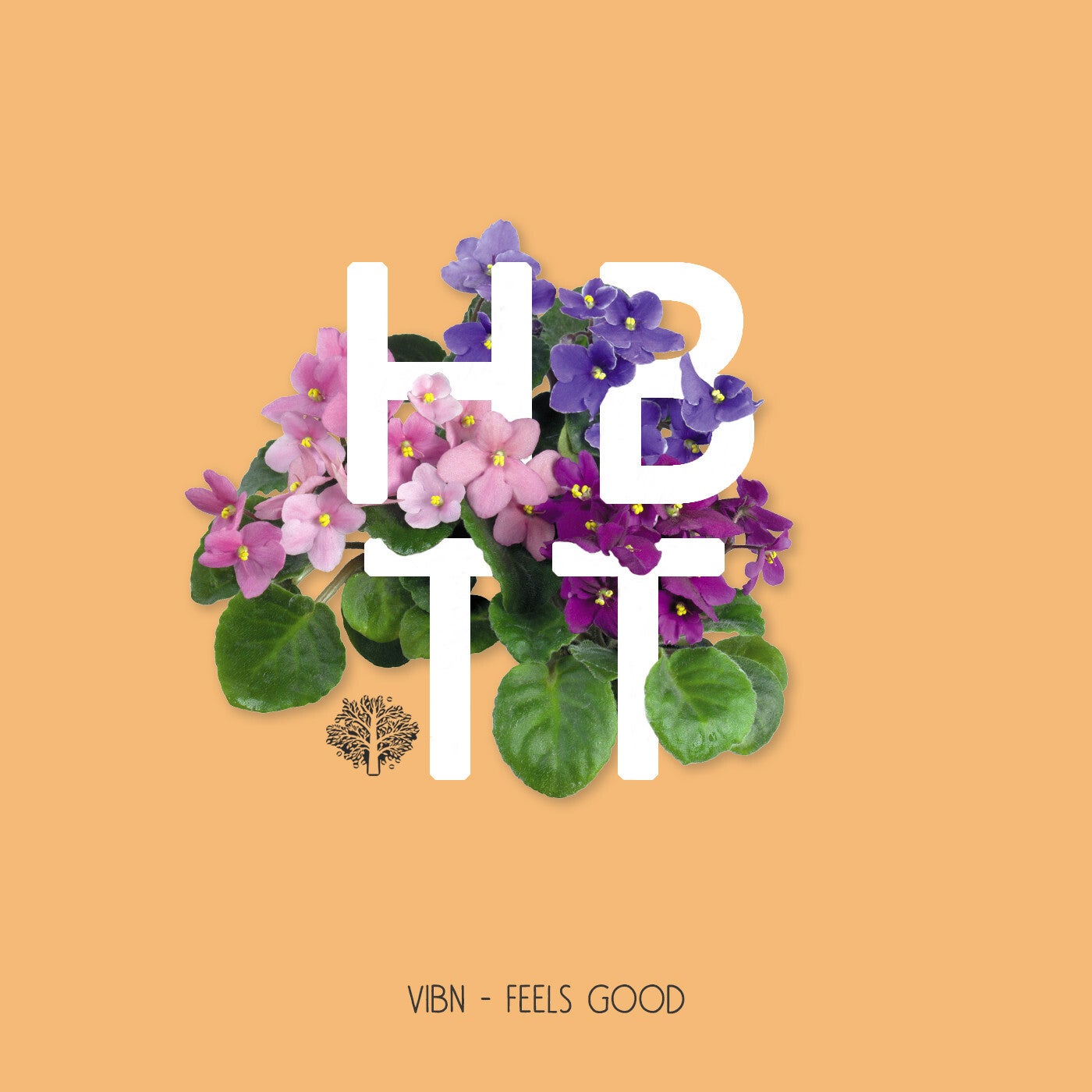 Vibn – Feels Good [HBT364]